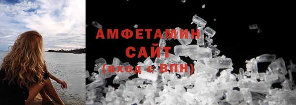 трава Няндома