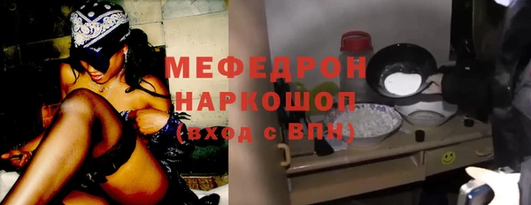 трава Няндома