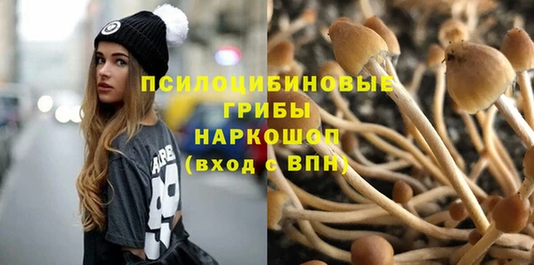 эйфоретик Нязепетровск