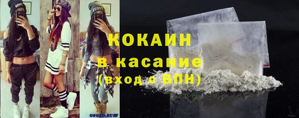 трава Няндома