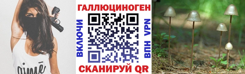 Псилоцибиновые грибы прущие грибы  Купить где  Шенкурск 