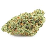 Шишки OG Kush  (Гидропоника, бошки) VHQ в Шенкурске